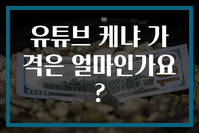 유튜브 케냐 가격은 얼마인가요?