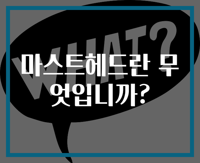 마스트헤드란 무엇입니까?