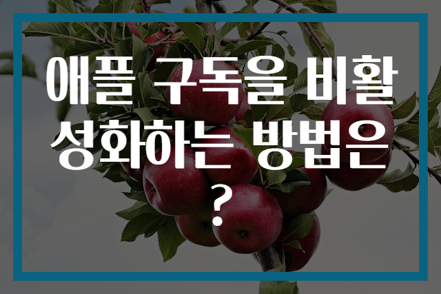 애플 구독을 비활성화하는 방법은?