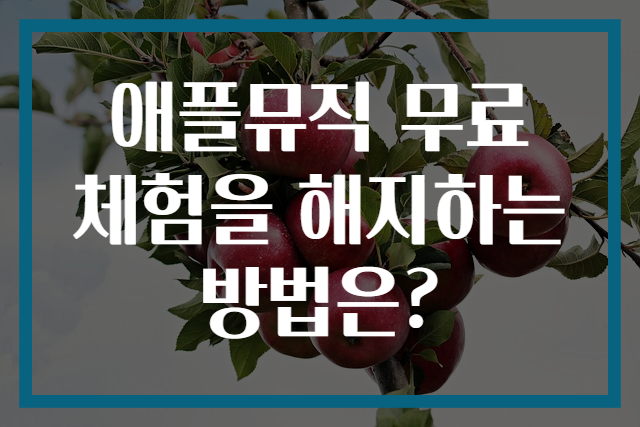 애플뮤직 무료 체험을 해지하는 방법은?