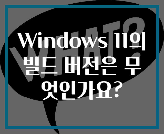 Windows 11의 빌드 버전은 무엇인가요?