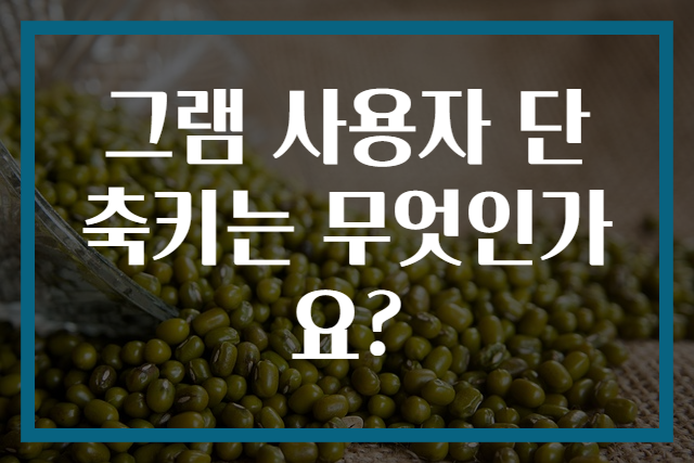 그램 사용자 단축키는 무엇인가요?