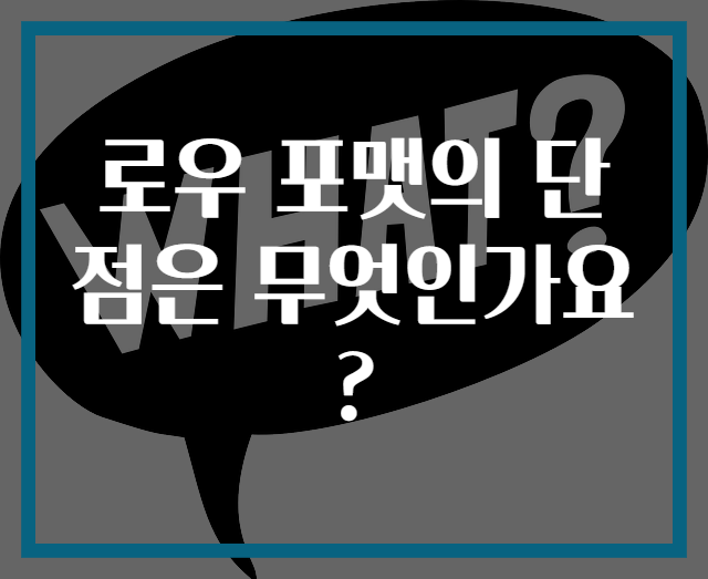 로우 포맷의 단점은 무엇인가요?