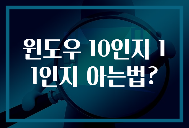 윈도우 10인지 11인지 아는법?