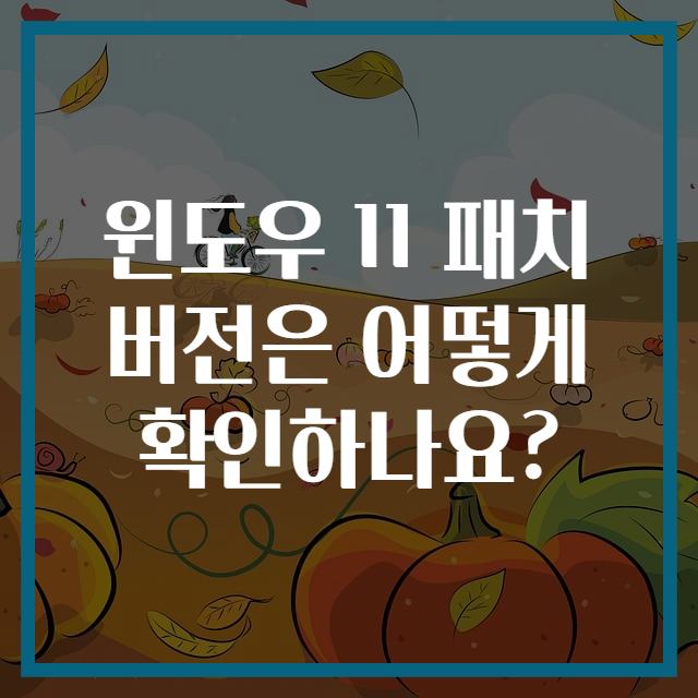 윈도우 11 패치 버전은 어떻게 확인하나요?