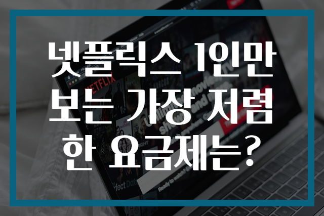 넷플릭스 1인만 보는 가장 저렴한 요금제는?