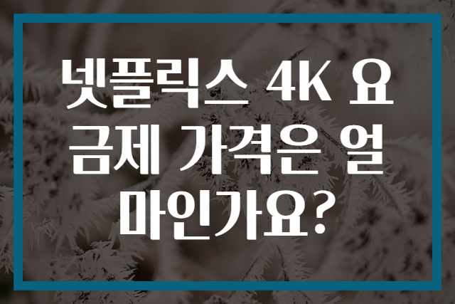 넷플릭스 4K 요금제 가격은 얼마인가요?