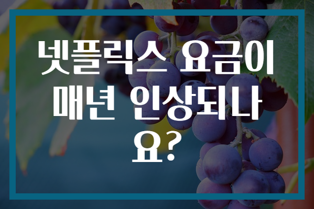 넷플릭스 요금이 매년 인상되나요?