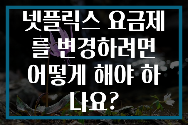 넷플릭스 요금제를 변경하려면 어떻게 해야 하나요?