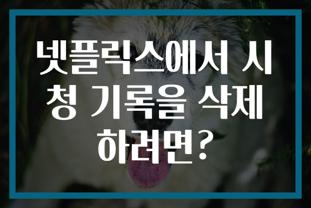넷플릭스에서 시청 기록을 삭제하려면?