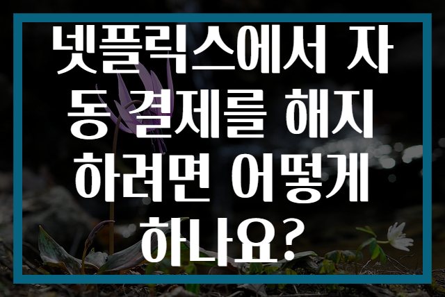 넷플릭스에서 자동 결제를 해지하려면 어떻게 하나요?