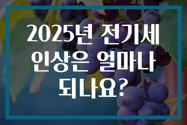 2025년 전기세 인상은 얼마나 되나요?