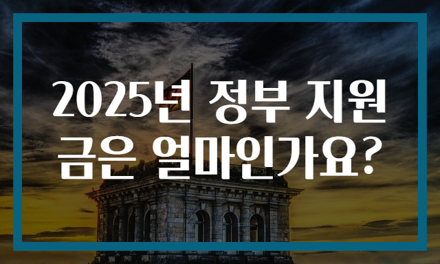 2025년 정부 지원금은 얼마인가요?