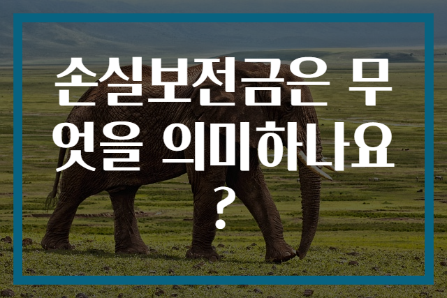 손실보전금은 무엇을 의미하나요?