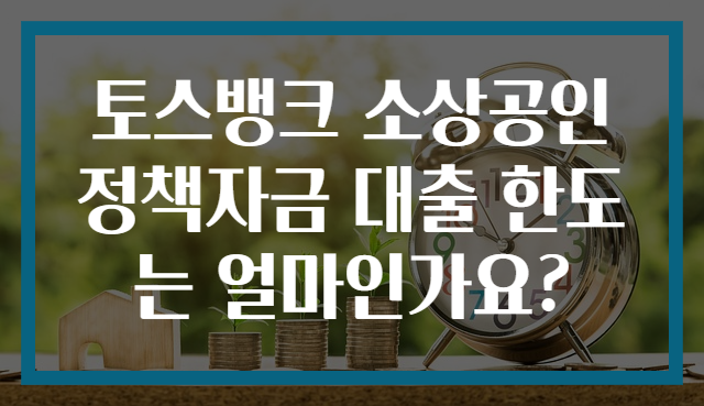 토스뱅크 소상공인정책자금 대출 한도는 얼마인가요?