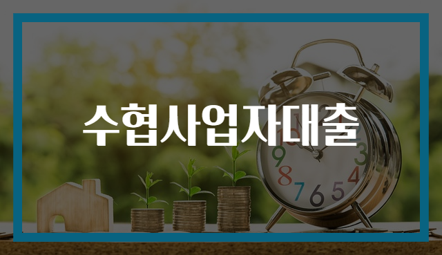 수협사업자대출