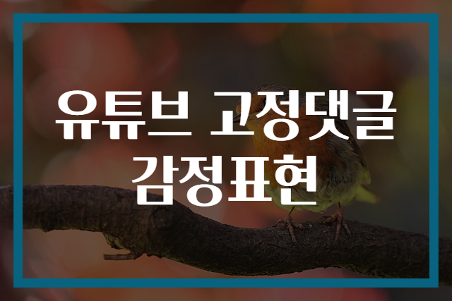 유튜브 고정댓글 감정표현