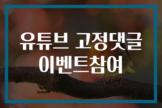 유튜브 고정댓글 이벤트참여