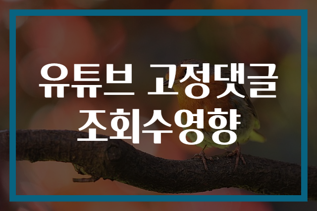 유튜브 고정댓글 조회수영향