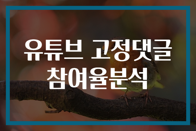 유튜브 고정댓글 참여율분석