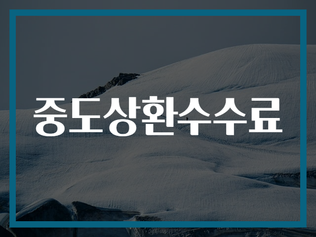 중도상환수수료
