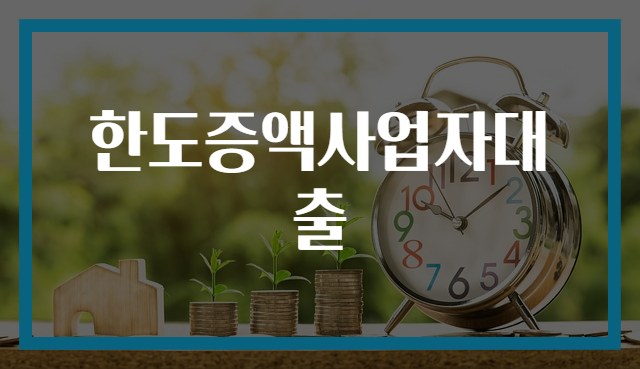 한도증액사업자대출