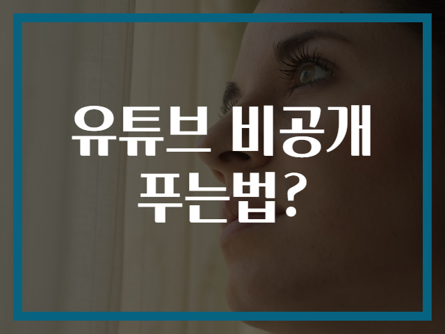 유튜브 비공개 푸는법?