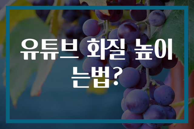 유튜브 화질 높이는법?