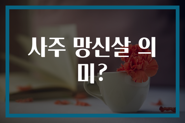 사주 망신살 의미?