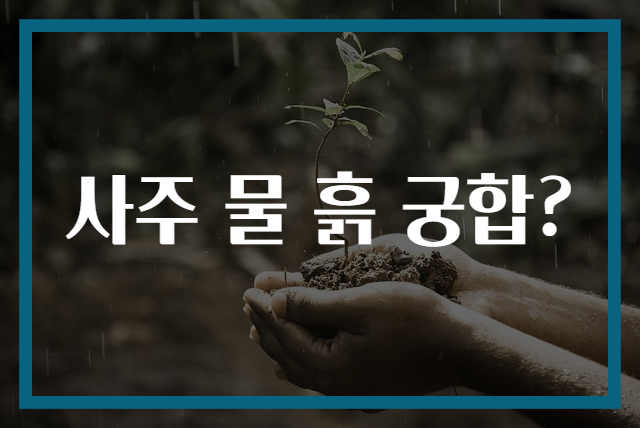 사주 물 흙 궁합?