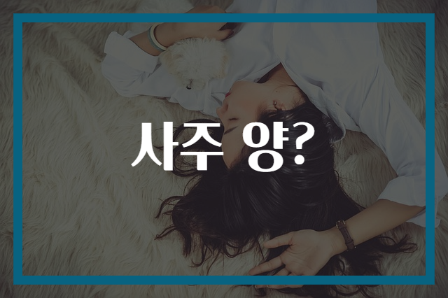 사주 양?