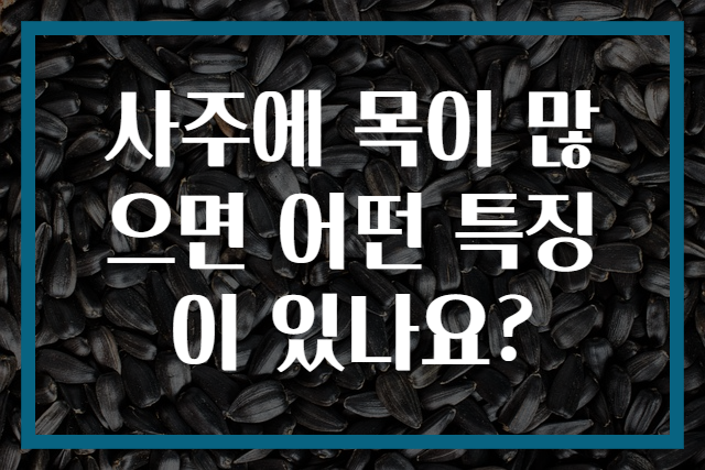 사주에 목이 많으면 어떤 특징이 있나요?