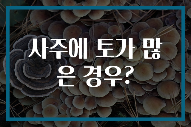 사주에 토가 많은 경우?