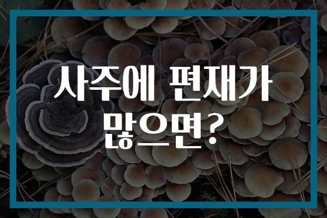 사주에 편재가 많으면?