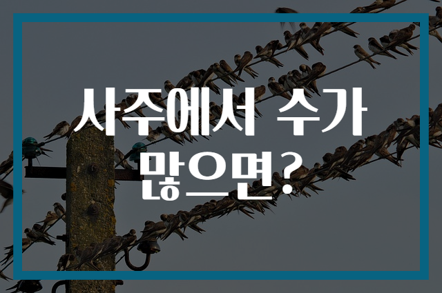 사주에서 수가 많으면?