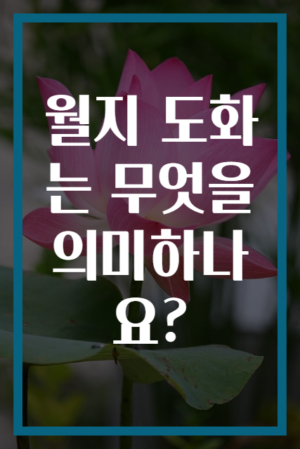 월지 도화는 무엇을 의미하나요?