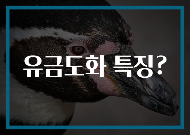 유금도화 특징?