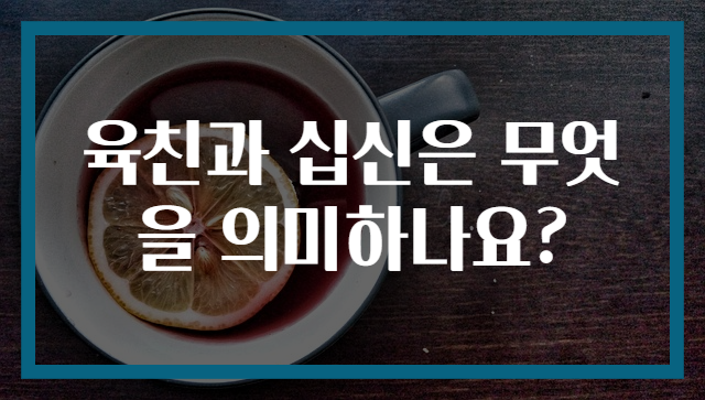 육친과 십신은 무엇을 의미하나요?