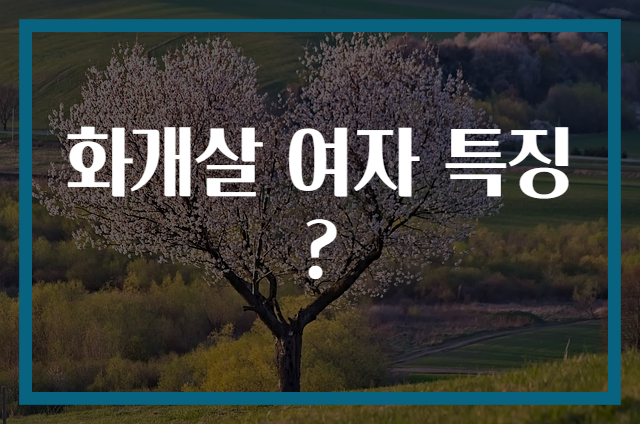 화개살 여자 특징?