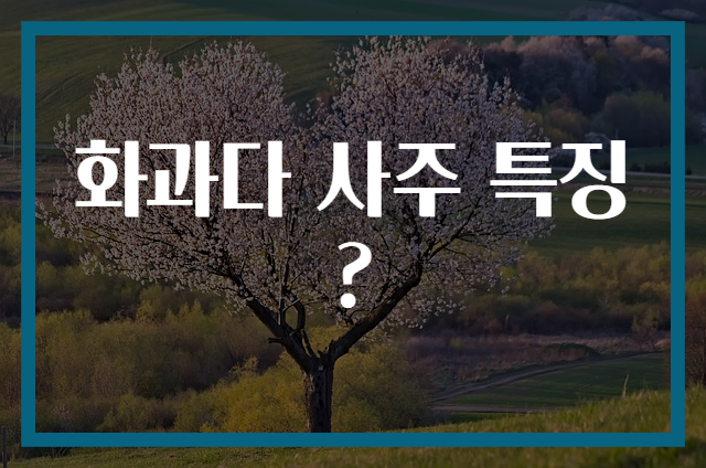 화과다 사주 특징?