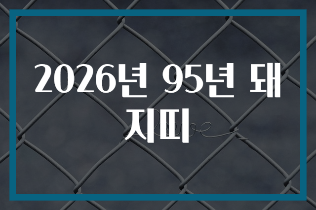 2026년 95년 돼지띠