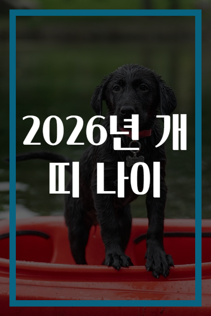 2026년 개띠 나이