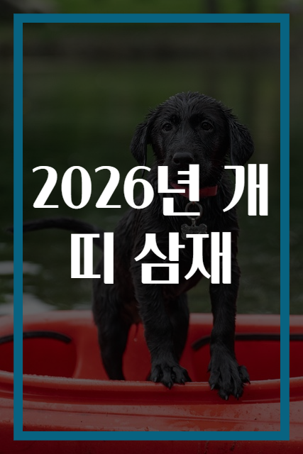 2026년 개띠 삼재