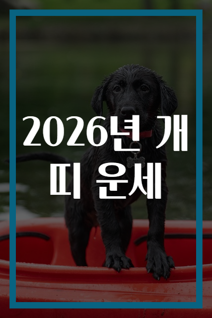 2026년 개띠 운세