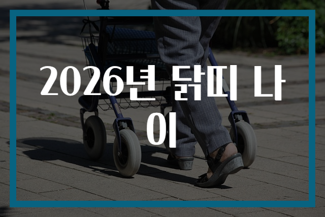 2026년 닭띠 나이