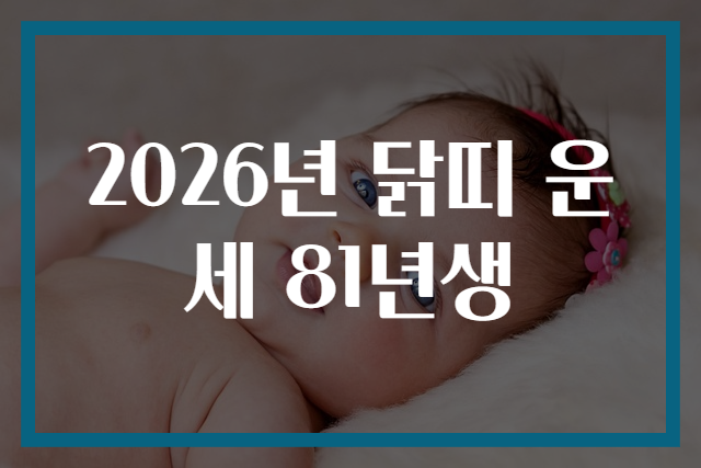 2026년 닭띠 운세 81년생