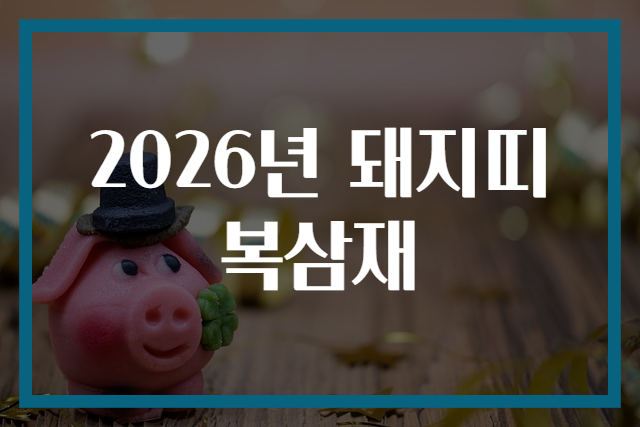 2026년 돼지띠 복삼재