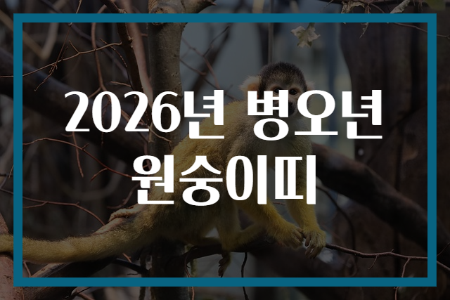 2026년 병오년 원숭이띠