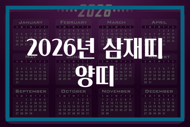 2026년 삼재띠 양띠