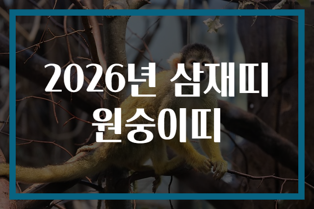 2026년 삼재띠 원숭이띠